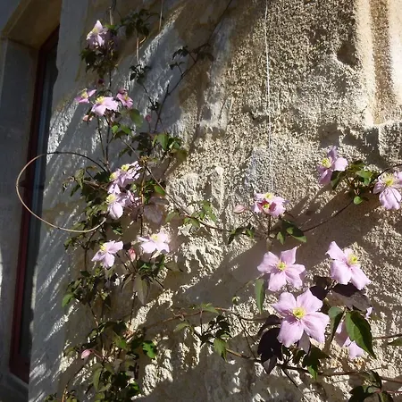 Au Mas De Gamet Bed & Breakfast Théminettes