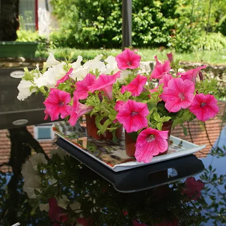 住宿加早餐酒店 欧玛斯德格梅酒店 Théminettes