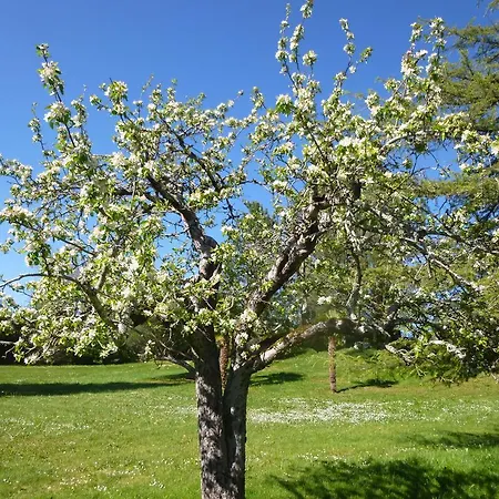 住宿加早餐酒店 欧玛斯德格梅酒店 3*