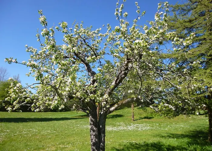 Bed & Breakfast Au Mas De Gamet 3*