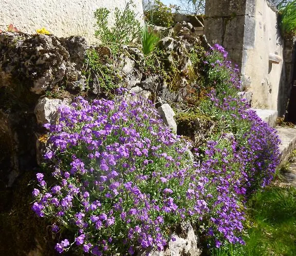 Bed & Breakfast Au Mas De Gamet 3*