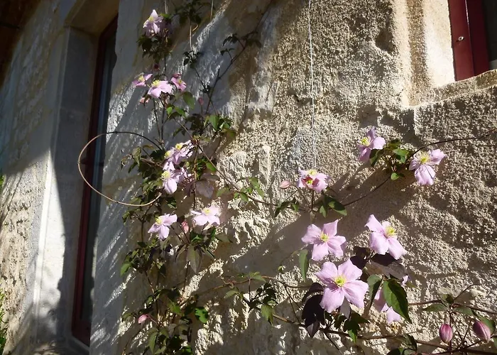 Au Mas De Gamet Bed & Breakfast Théminettes